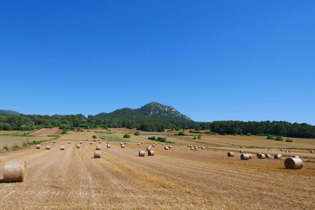 Villa Son Fornes Algaida